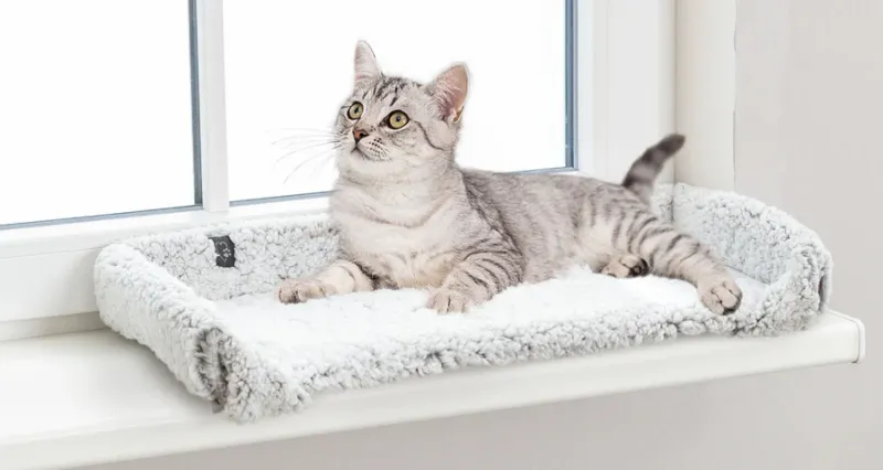 Preview: Liegematte Calida für Fensterbank